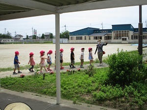 カエルの独り立ち (1)