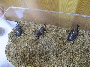 IMG_5879 IMG_5879