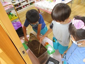 カブトムシもてるかな カブトムシもてるかな