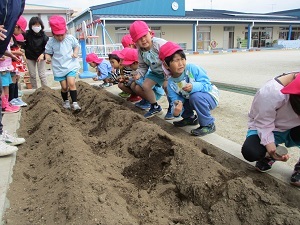 土 土