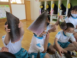 タケノコ タケノコ