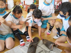 タケノコ2 タケノコ2