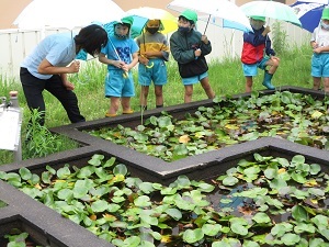 なになに