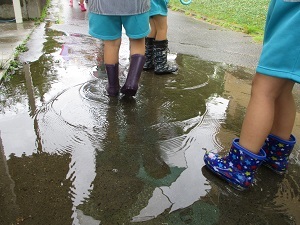 水たまり
