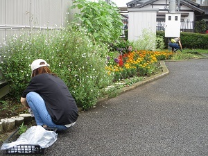 草取り1 草取り1