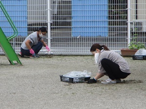 草取り2 草取り2