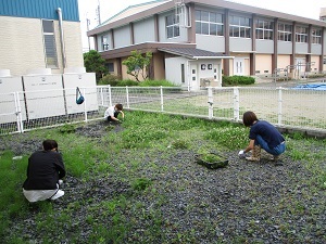 草取り3 草取り3