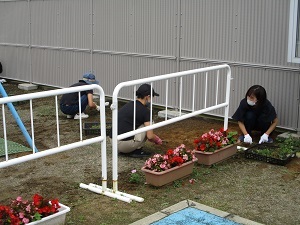 草取り4 草取り4