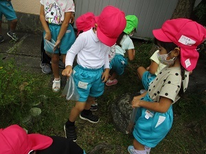 小学校にどんぐり拾い (3) 小学校にどんぐり拾い (3)
