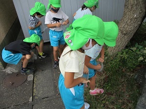 小学校にどんぐり拾い (6) 小学校にどんぐり拾い (6)