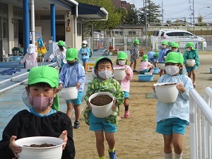 チューリップ球根植え(もも組) (2)