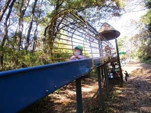 森林公園1