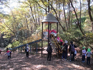 森林公園2