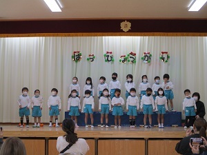 IMG_3452 IMG_3452