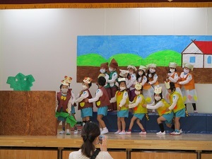 IMG_3491 IMG_3491