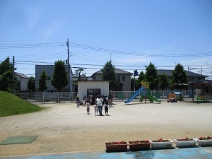 IMG_5041 IMG_5041
