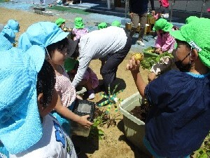 うめさんも