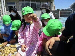 サクランボみたい