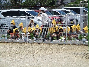 もも組避難(1)
