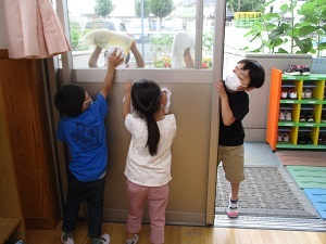 IMG_7100 IMG_7100
