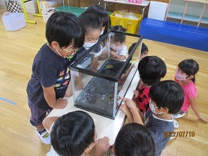 IMG_5885 IMG_5885