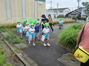IMG_6050 IMG_6050