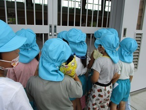 IMG_7312 IMG_7312