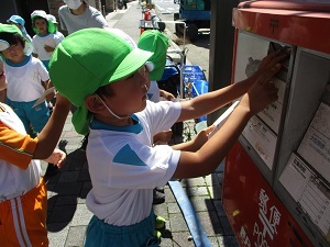 IMG_7600 IMG_7600