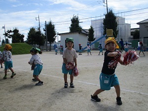 IMG_7717 IMG_7717