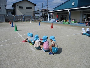 IMG_7774 IMG_7774