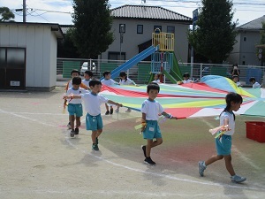 IMG_7868 IMG_7868