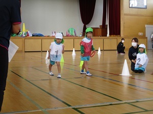 IMG_8244 IMG_8244