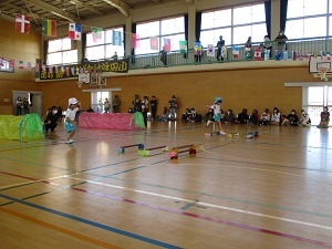 IMG_8229 IMG_8229