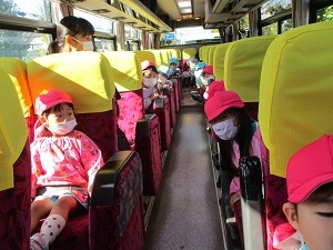 IMG_8441 IMG_8441