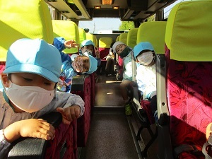 IMG_8442 IMG_8442