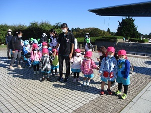 IMG_8445 IMG_8445