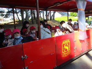 IMG_8455 IMG_8455