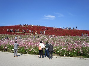 IMG_8476 IMG_8476