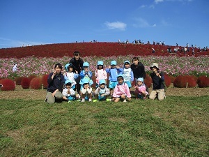 IMG_8482 IMG_8482