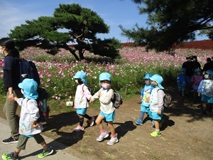 IMG_8488 IMG_8488