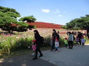 IMG_8493 IMG_8493