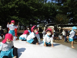 IMG_8505 IMG_8505