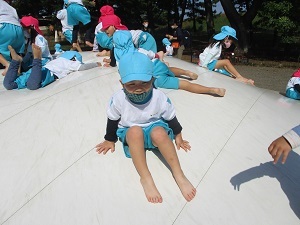 IMG_8519 IMG_8519