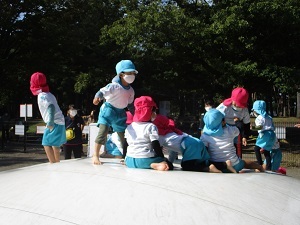 IMG_8506 IMG_8506