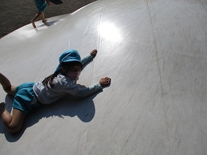 IMG_8503 IMG_8503