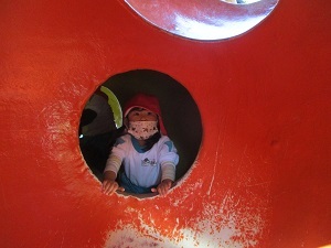 IMG_8559 IMG_8559