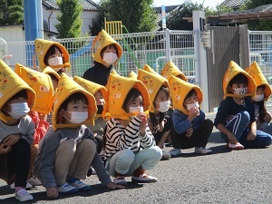 IMG_8654 IMG_8654