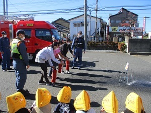 IMG_8663 IMG_8663