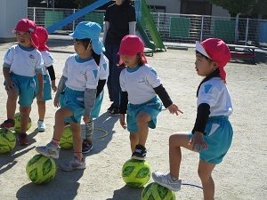 IMG_8739 IMG_8739