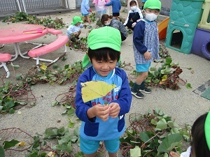 芋づる取り（もも組) (4)